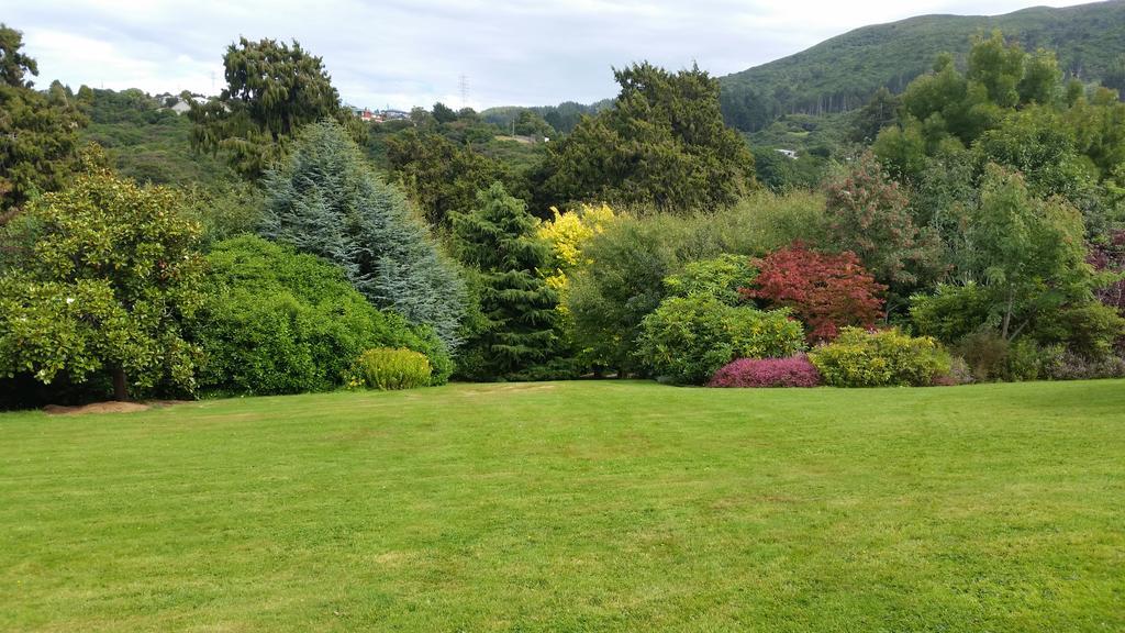 Leithview B And B Bed & Breakfast Dunedin Exterior photo